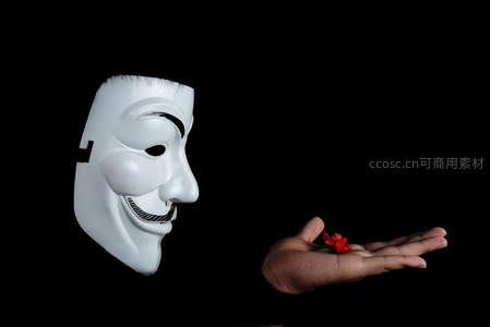 V字仇杀队面具旁托举的微小红花