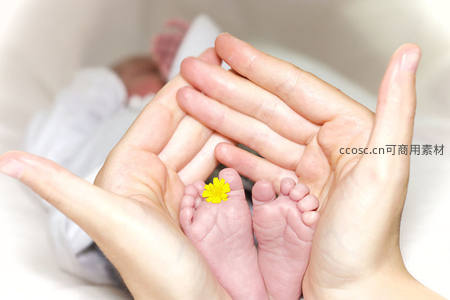 父母双手呵护婴儿小脚，一朵小花象征新生