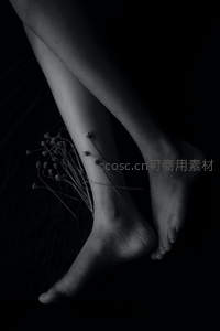 黑白光影下的足踝与干花静谧之美