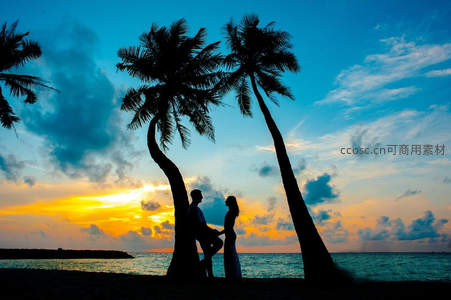 椰树下的情侣黄昏剪影