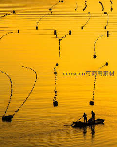 金色湖面上的渔民剪影与浮标阵列