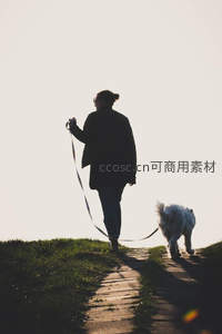 小径漫步，人与狗的温暖剪影