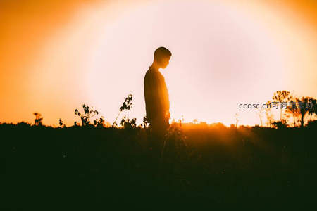 田野孤影：少年在落日余晖中沉思