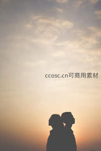 并肩仰望：情侣剪影共赏黄昏云天