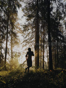 晨光穿透森林，一人静立其中