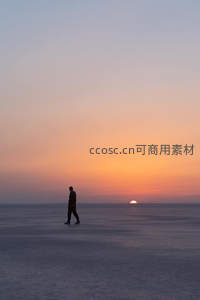 孤影踏冰原，落日熔金映苍茫