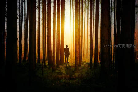 森林深处逆光人影沐浴金色阳光