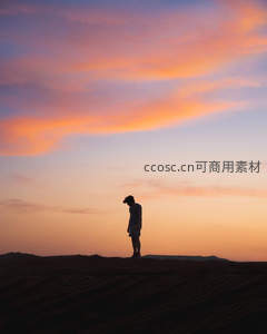 沙漠孤影：落日余晖中的沉思者