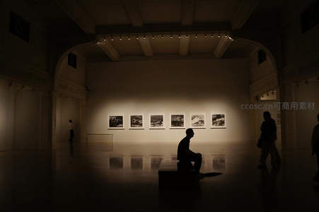 美术馆内沉思，光影交错静享艺术