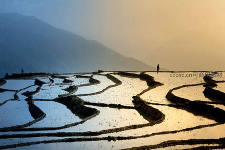 梯田如镜映霞光，农人独行山间