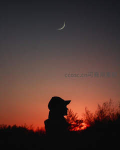 月升人侧，红霞映帽影沉思