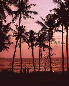 椰林夕照剪影，海滩上人群共享黄昏