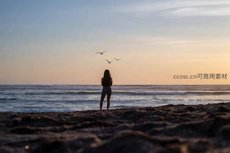 海边剪影少女与飞鸟共赏落日余晖