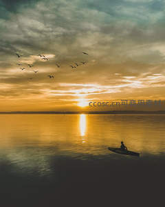 夕阳独舟飞鸟掠过金色水面