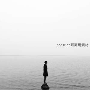 孤影立于水中央，静默如画