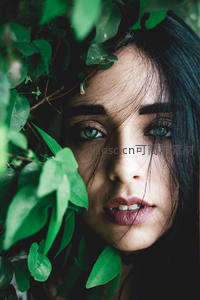 绿叶丛中神秘蓝眸女子