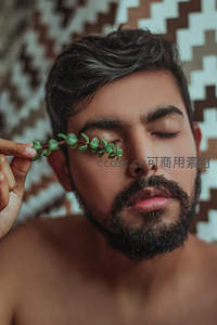 绿植轻触眉眼的宁静时刻