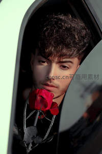 车窗玫瑰少年，浪漫与神秘的邂逅