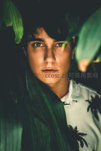 绿叶掩映中的青年，目光穿透自然屏障