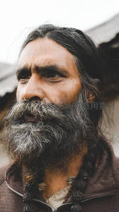 胡须哲人：沉思中的智者面容