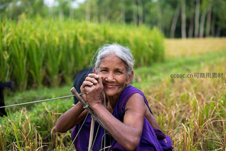 稻田里微笑的老妇人