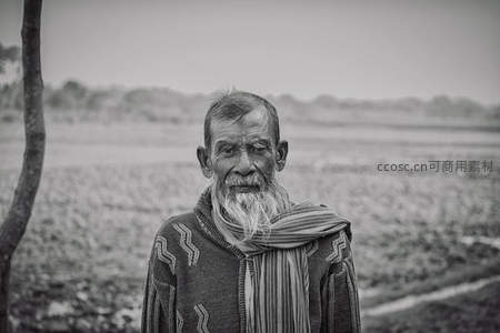 黑白影像中田野里的沧桑老人