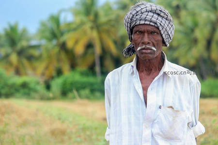 头戴格纹头巾的农夫凝视远方