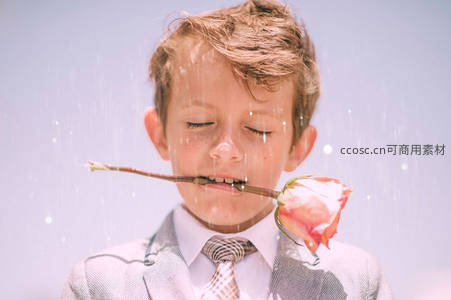 雨中少年衔玫瑰，闭目享受宁静时刻