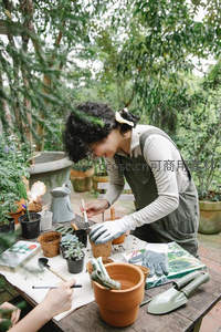 园艺师专注为多肉植物换盆