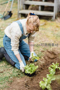 金发女子跪地亲手栽种生菜苗