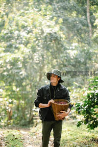 咖啡农夫林间手捧丰收果实