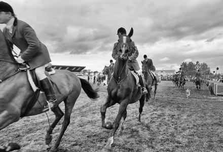 马术比赛中骑手驾驭骏马驰骋赛场