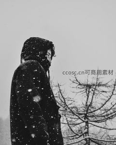 雪中孤影，静谧冬日时光