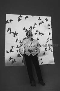 男子仰望飞鸟投影艺术