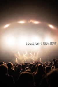 灯光璀璨的音乐节现场，人群热情欢呼