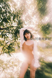 阳光穿透林间的舞者