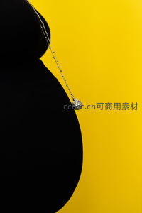 孕肚剪影与精致项链的温馨特写