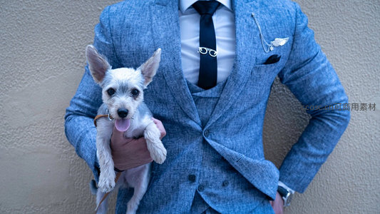 蓝西装绅士怀抱萌犬