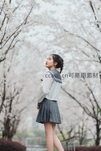 樱花树下少女侧影，水手服衬托春日浪漫