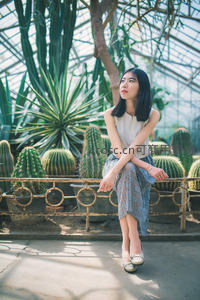 温室仙人掌旁的静谧女子，光影斑驳的植物园时光