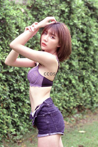 绿篱前的紫色诱惑