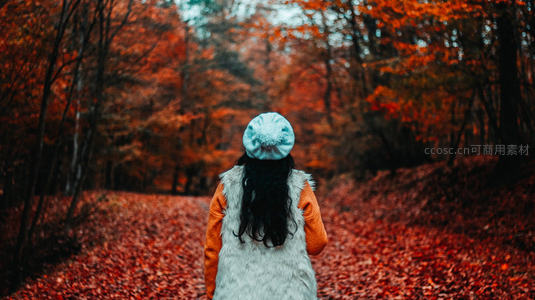 秋日林间漫步，红叶铺满小径