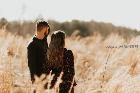 情侣背影漫步秋日芦苇荡