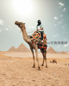 骑骆驼游客在金字塔前留影