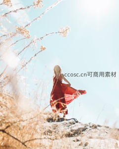 红裙少女立山巅，阳光洒落花影间