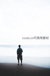 孤影立沙滩，海天一色心自远