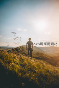 金色草原上的孤独身影