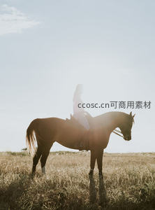 逆光田野中的骑马剪影