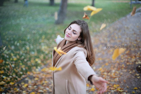 秋日落叶飞舞的拥抱