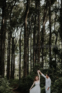 森林深处的浪漫牵手瞬间